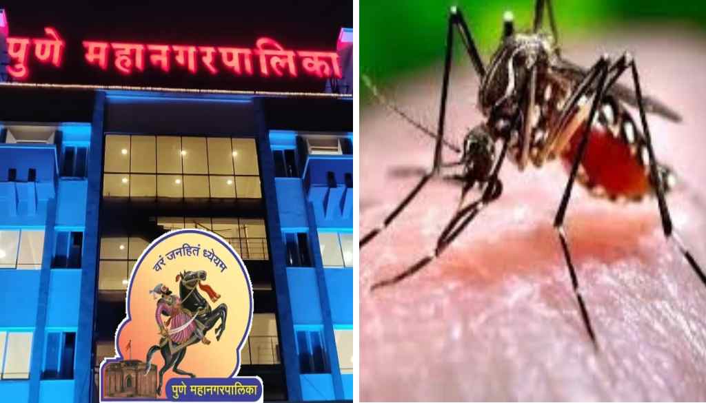 Zika Virus in Pune: Municipal Corporation Steps Up Screening of Pregnant Women