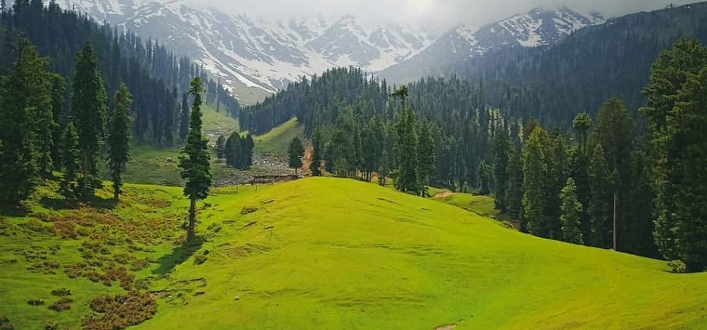 Mahu in Kashmir