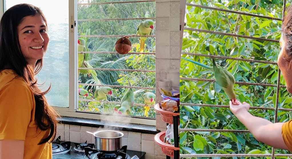 Radhika sonawane parrots Pune