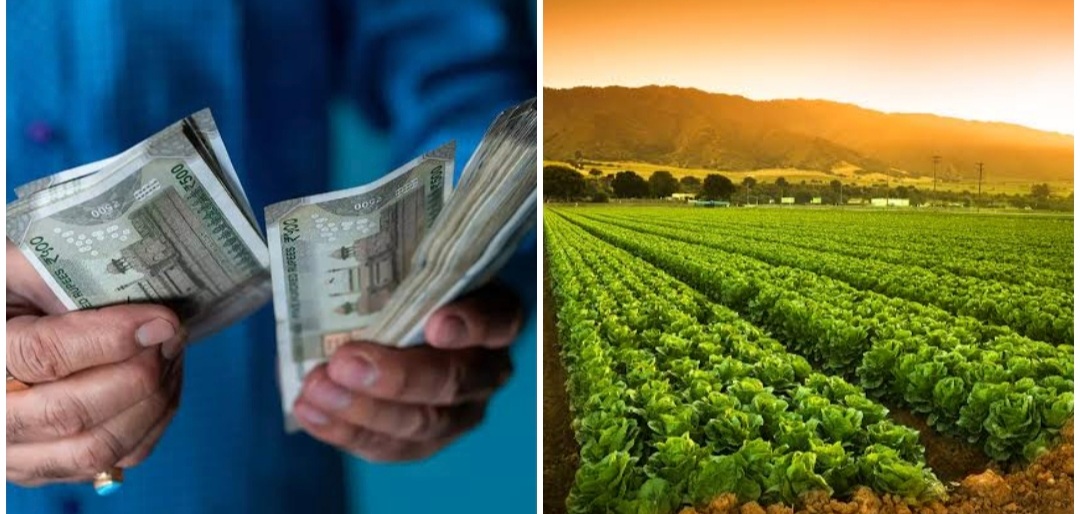 After Warning To Close Government Accounts, Banks Disburse Record Amount Of Agri Loans To Farmers