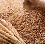 Pune: Prices of Wheat, Gram, and Lentils Surge Ahead of Diwali Due to Declining Production