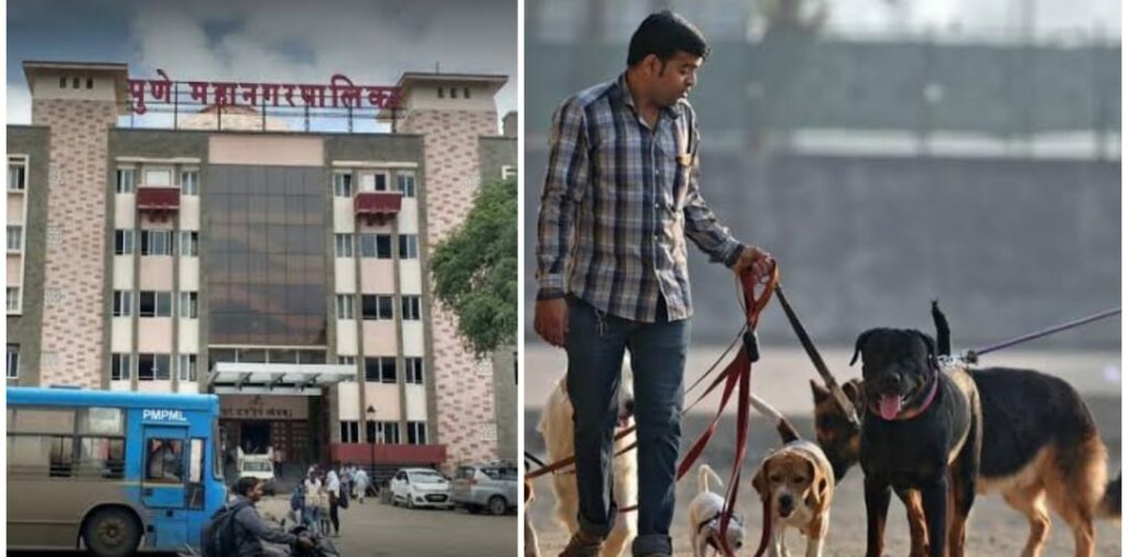 Pet License Scam Surfaces in Pune, PMC Urges Vigilance - Punekar News