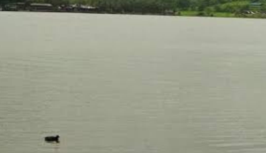 Pune: Chhatrapati Shivaji Maharaj Reservoir In Bhugaon Faces Environmental Threat, MPCB Issues Notice