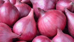 Onion